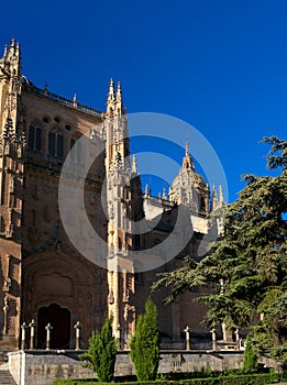 Cathedral of Salamanca