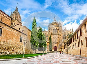 Cathedral of Salamanca, Castilla y Leon, Spain