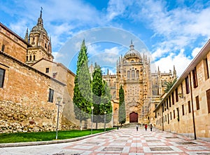 Cathedral of Salamanca, Castilla y Leon, Spain photo