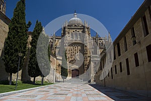 Cathedral of Salamanca. Spain