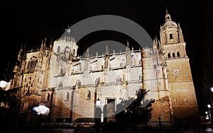 The Cathedral of Salamanca, Spain