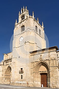 Cathedral of San Antolin of Palencia, Castilla y Leon, Spain photo