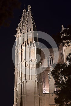 The Cathedral of Santa Maria, Palma de Mallorca at night