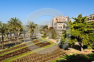 Cathedral of Santa Maria of Palma, Majorca