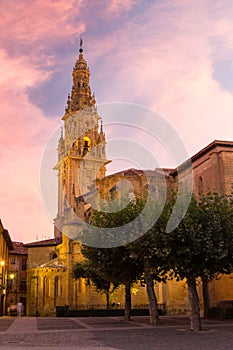 Cathedral of Santo Domingo de la Calzada, Spain. photo