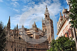 Cathedral of Sevilla