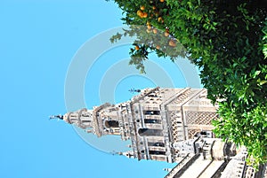 Cathedral of Sevilla photo