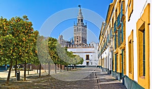 The cathedral of seville photo