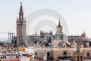 The Cathedral of Seville