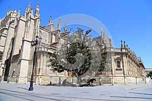 Cathedral of Seville -- Cathedral of Saint Mary of the See, Andalusia, Spain