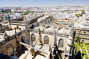 Cathedral of Seville view from La Giralda, Andalusia, Spain photo