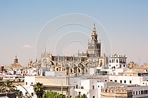 The cathedral of siviglia