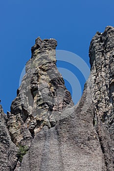 Cathedral Spires and Limber Pine Natural Area