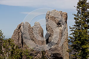 Cathedral Spires and Limber Pine Natural Area