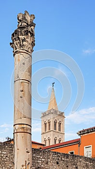 Cathedral of St. Anastasia and historical pillar in the old town of Zadar, Croatia