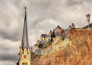 Cathedral of St. Florin and Vaduz Castle