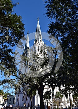 The Cathedral of St John the Baptist in downtown historic Savannah.