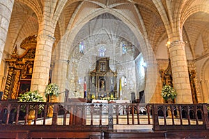 Cathedral of St. Mary of the Incarnation, Santo Domingo, Dominic