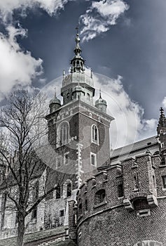 Cathedral of St Stanislaw and St Vaclav, fragment. Famous Wawel Castle in Krakow, Poland
