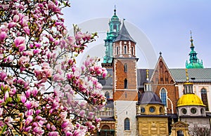Cathedral of St Stanislaw and St Vaclav and royal castle on the