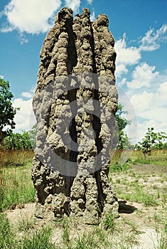 Cathedral termite mounds in Kakadu National Park
