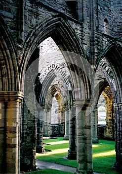 Cathedral in Tintern photo