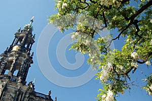 Cathedral Tower and Tree