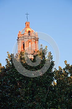 Cathedral tower with tree in San Luis Potosi photo
