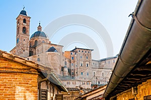Cathedral of Urbino