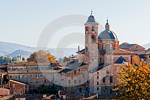 Cathedral of Urbino