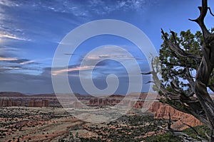 Cathedral Valley Overlook