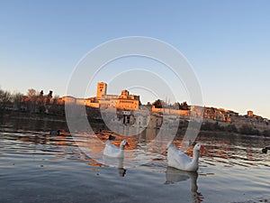 cathedral Zamora romanesque architecture river ducks city tourism visit