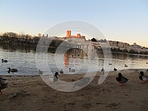 cathedral Zamora romanesque architecture river ducks city tourism visit photo