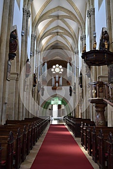 the cathedrale in wiener neustadt city