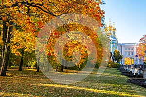 Catherine palace and park in autumn, Tsarskoe Selo Pushkin, Saint Petersburg, Russia