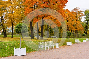 Catherine park in autumn foliage, Tsarskoe Selo Pushkin, Saint Petersburg, Russia