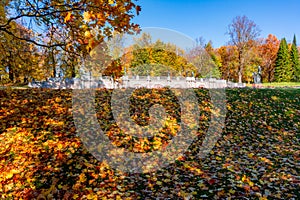 Catherine park in autumn foliage, Tsarskoe Selo Pushkin, Saint Petersburg, Russia