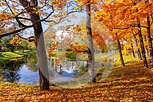 Catherine park in autumn, Pushkin Tsarskoe Selo, St. Petersburg, Russia