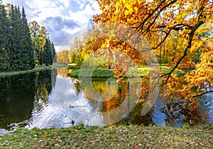 Catherine park in autumn, Pushkin Tsarskoe Selo, St. Petersburg, Russia