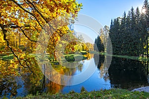 Catherine park in autumn, Tsarskoe Selo Pushkin, Saint Petersburg, Russia