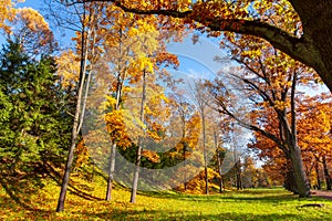 Catherine park in autumn, Tsarskoe Selo Pushkin, Saint Petersburg, Russia