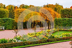 Catherine park in autumn, Tsarskoe Selo Pushkin, Saint Petersburg, Russia