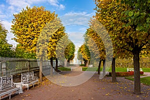 Catherine park in autumn, Tsarskoe Selo Pushkin, Saint Petersburg, Russia