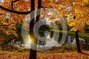 Catherine park in autumn, Tsarskoe Selo Pushkin, Saint Petersburg, Russia