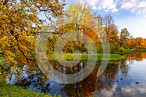 Catherine park in autumn, Tsarskoe Selo Pushkin, Saint Petersburg, Russia