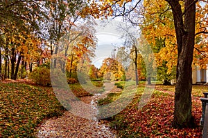 Catherine park in autumn, Tsarskoe Selo Pushkin, Saint Petersburg, Russia