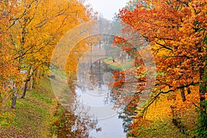 Catherine park in autumn, Tsarskoe Selo Pushkin, St. Petersburg, Russia