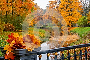 Catherine park in autumn, Tsarskoe Selo Pushkin, St. Petersburg, Russia