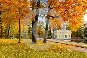 Catherine park in autumn, Tsarskoe Selo Pushkin, St. Petersburg, Russia