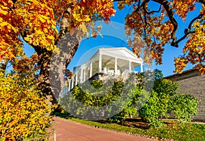 Catherine park in golden fall, Tsarskoe Selo Pushkin, Saint Petersburg, Russia